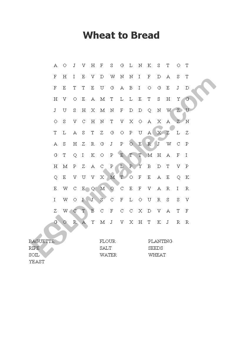 Wheat to bread wordsearch worksheet