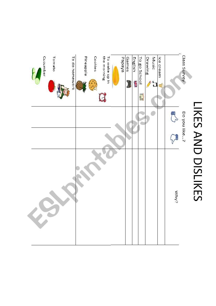 Likes and Dislikes Survey worksheet