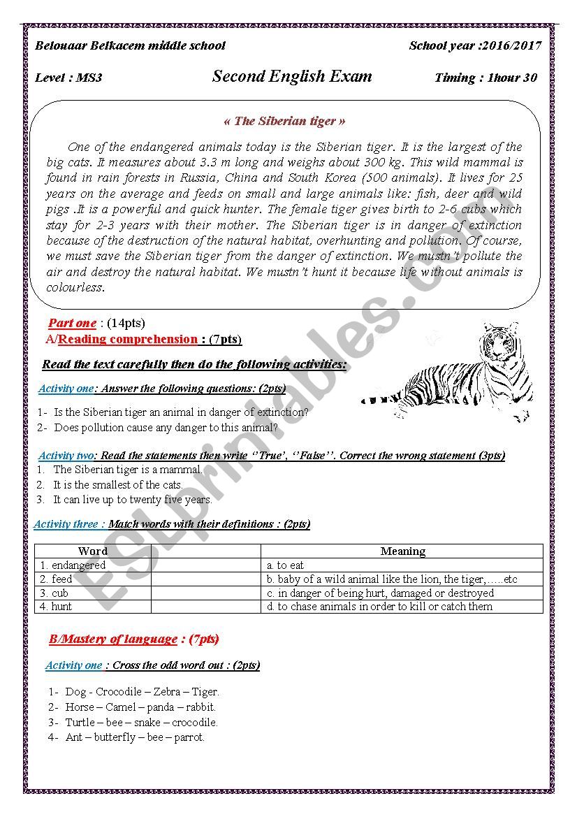 The siberian tiger worksheet
