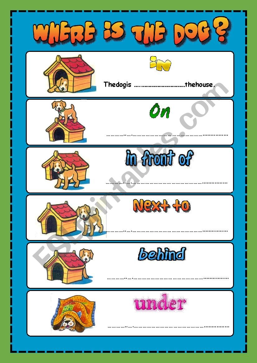 Prepositions of place - Where is the dog?