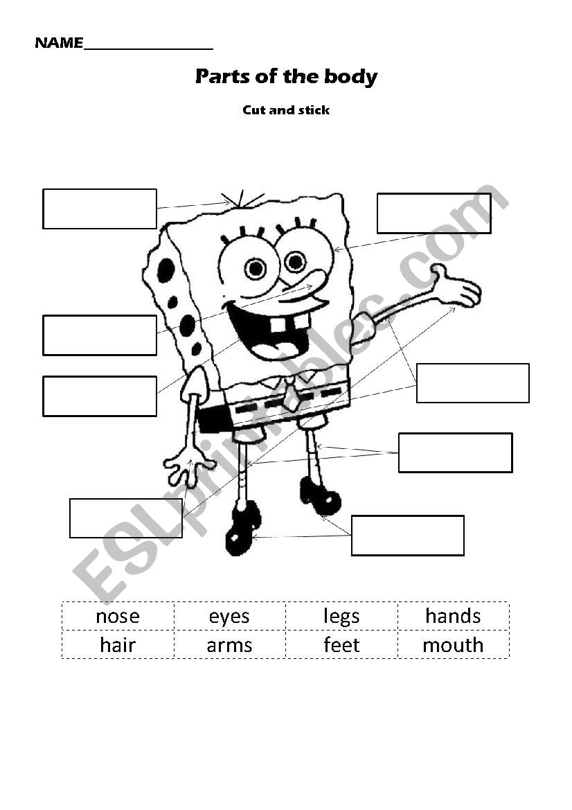 Sponge Bob Body Parts worksheet