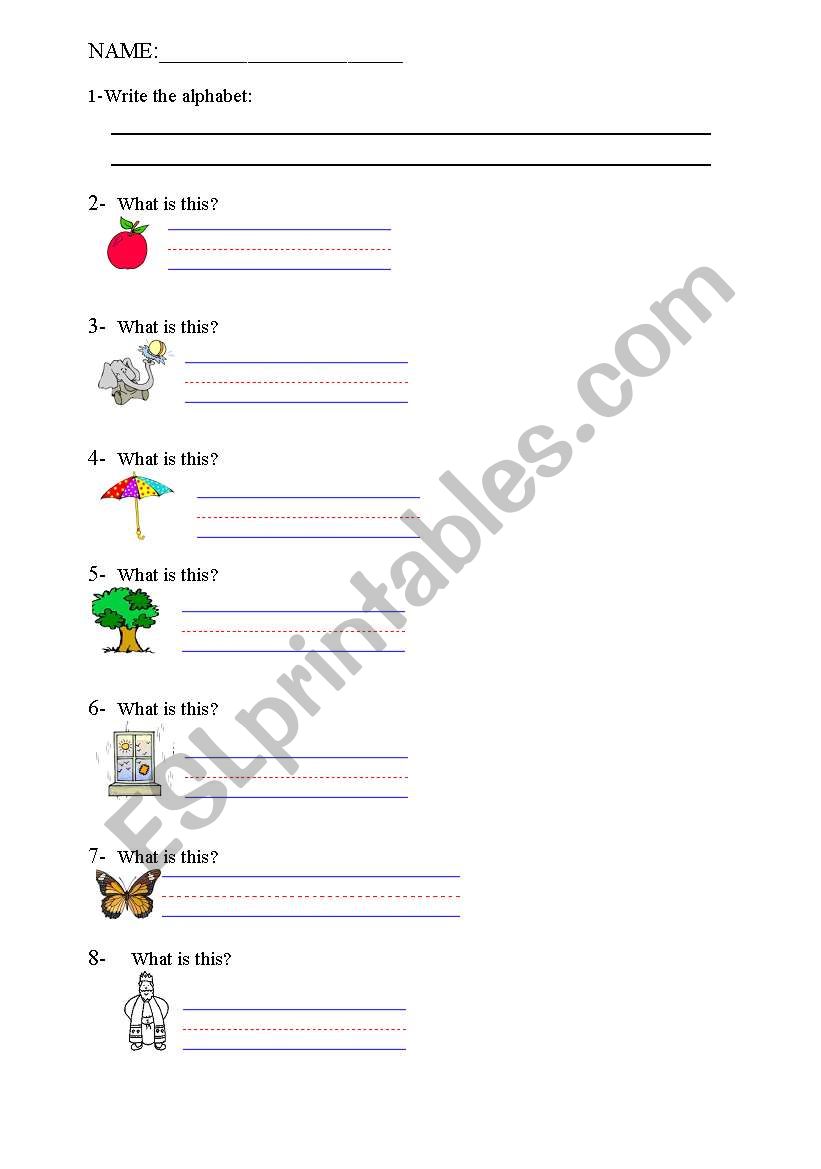 Alphabet Worksheet worksheet