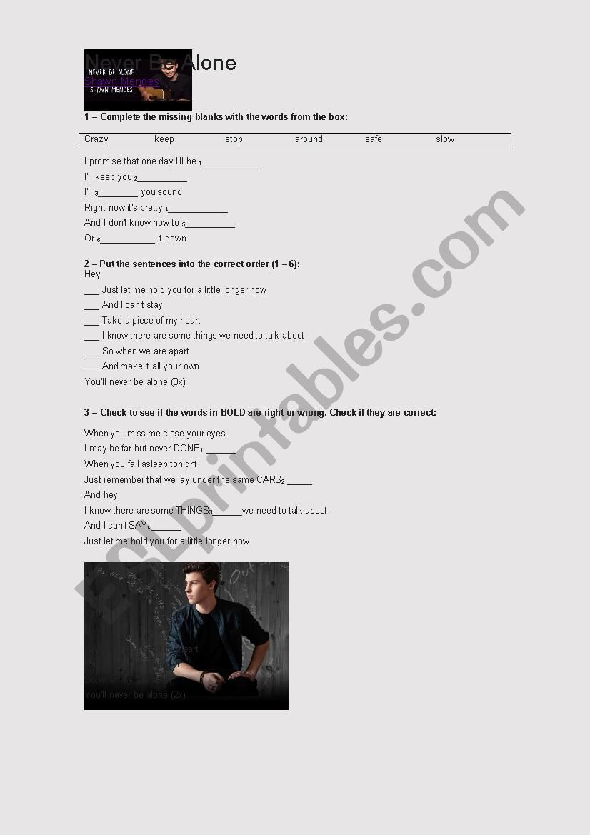 Shawn Mendes - Never be alone - LYRICS