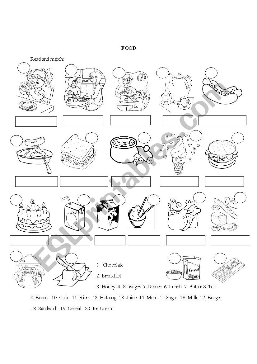 FOOD  worksheet