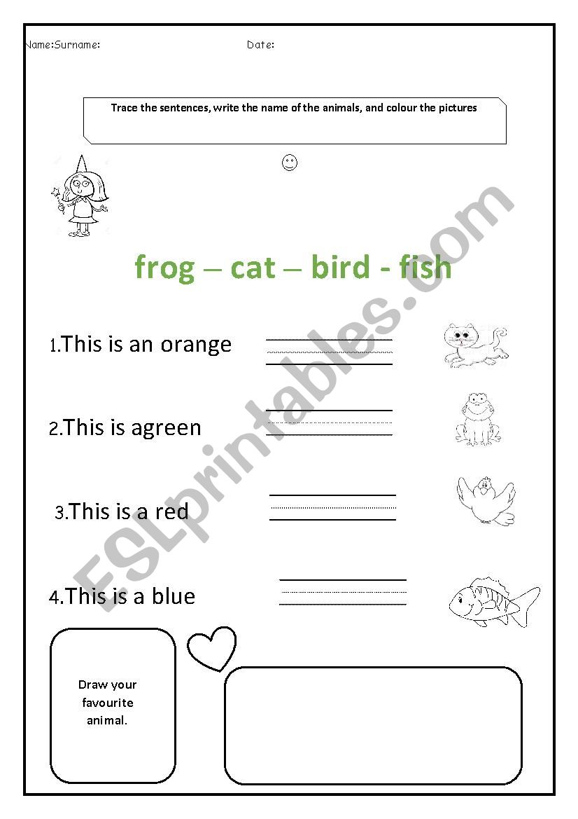 Animals PracticeWorksheet worksheet