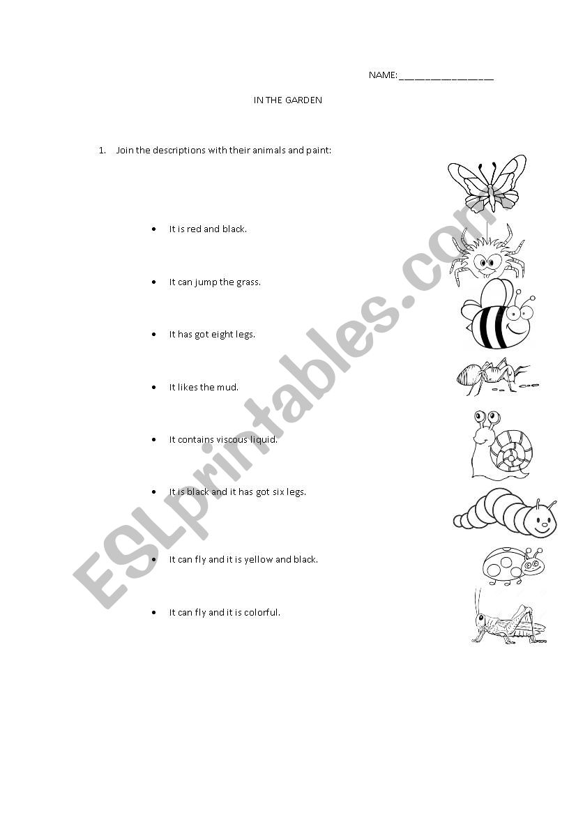 Animal descriptions worksheet