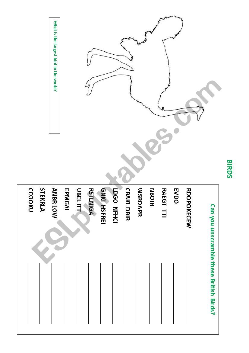 British Birds worksheet