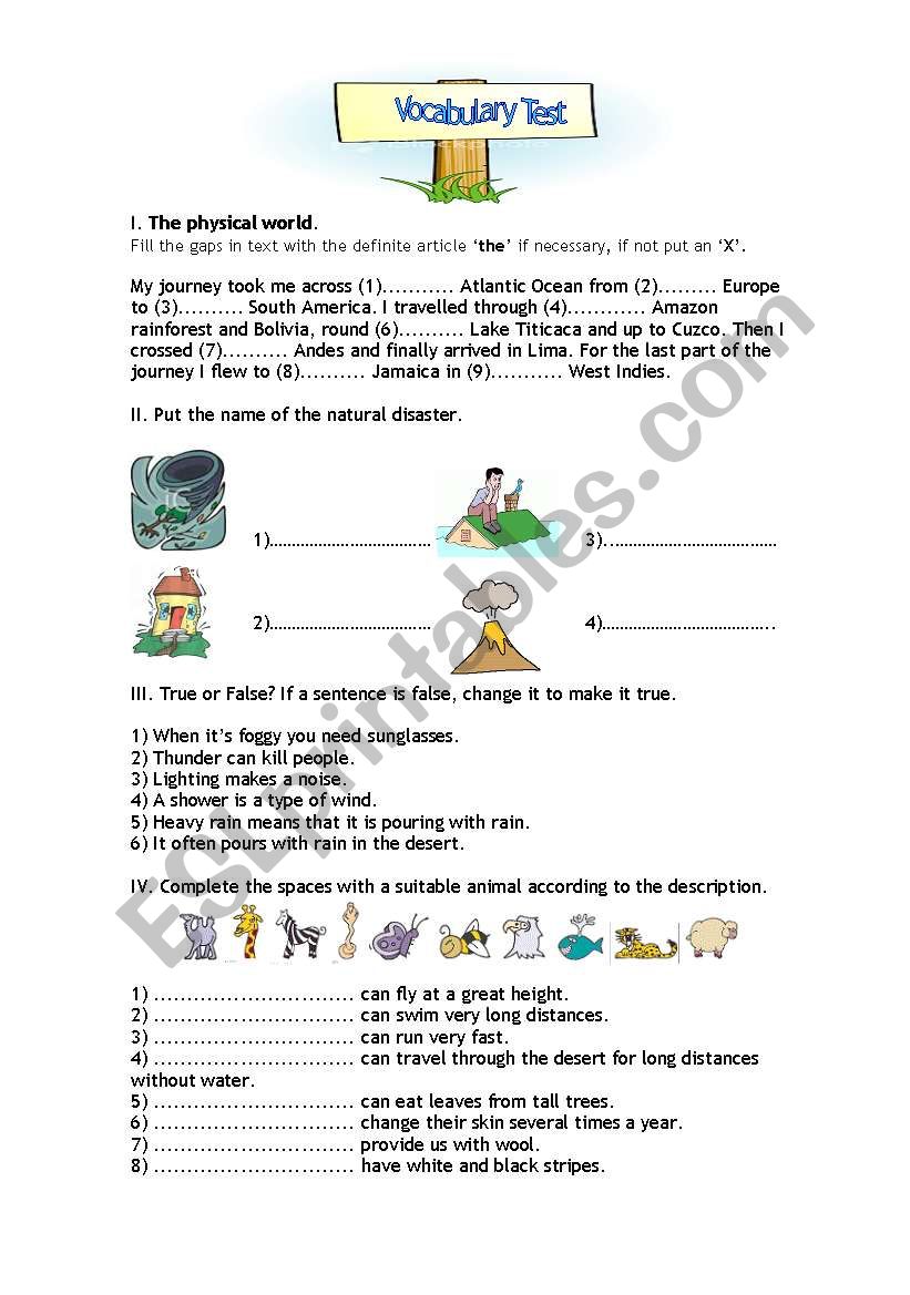 Intermediate Vocabulary Test worksheet