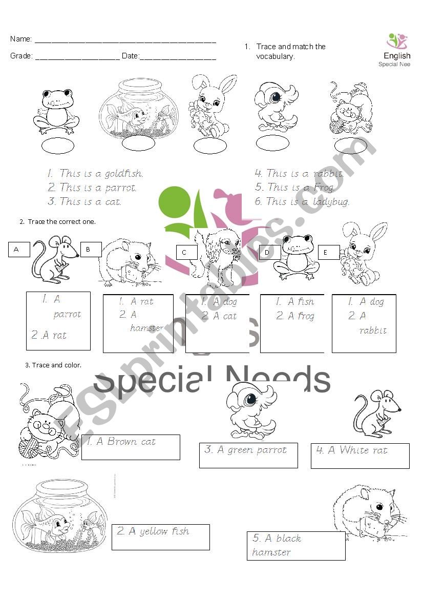 Pets for little students worksheet