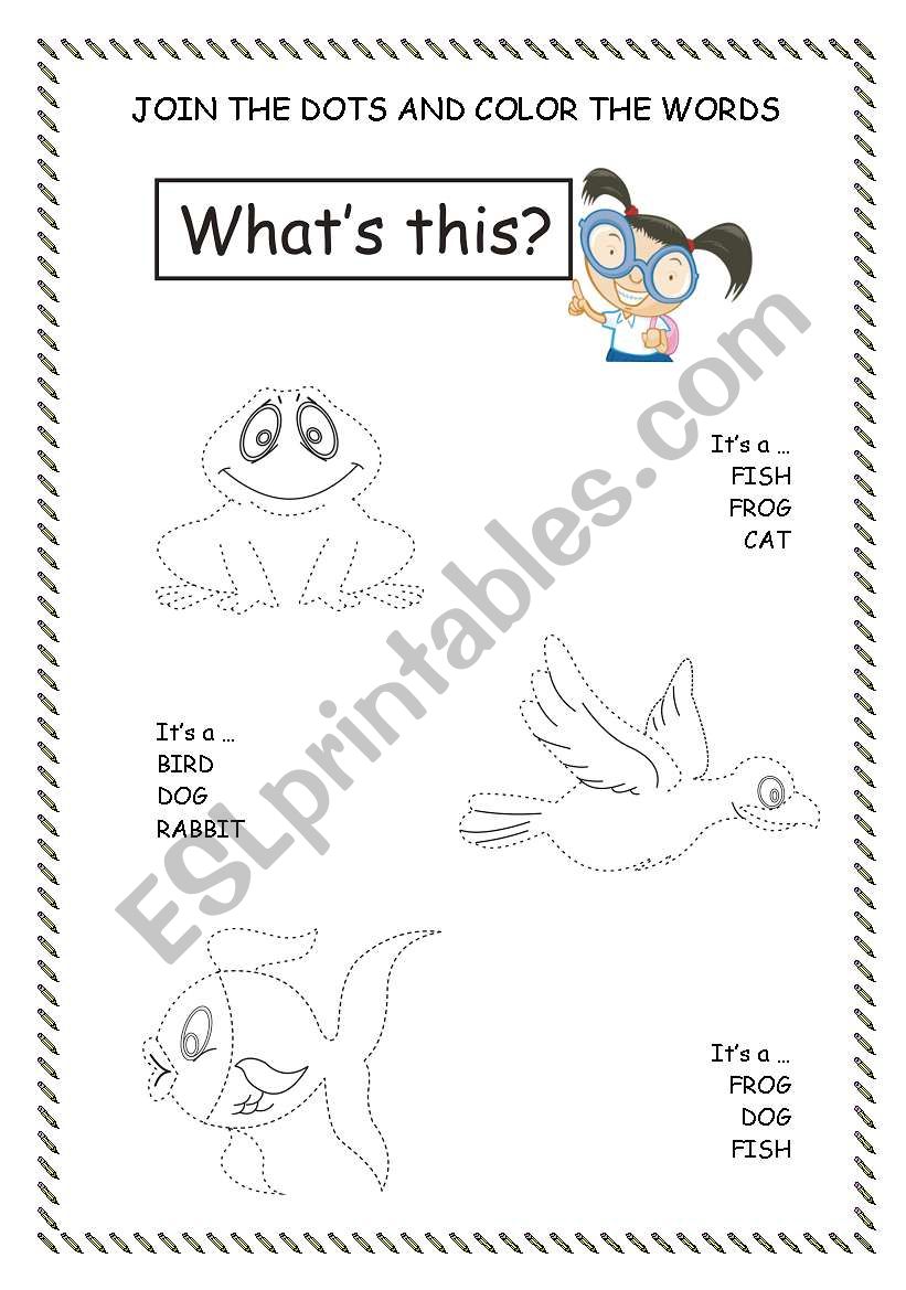 animals worksheet