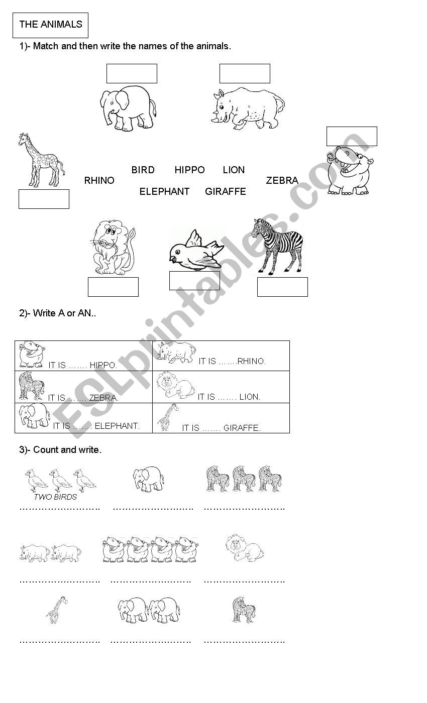 Animals ( singular and plural form) - ESL worksheet by Mariel 18