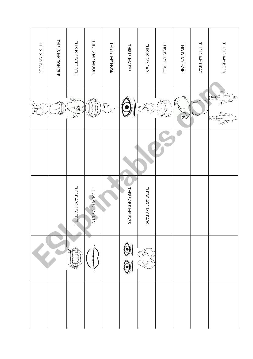 Body Parts worksheet