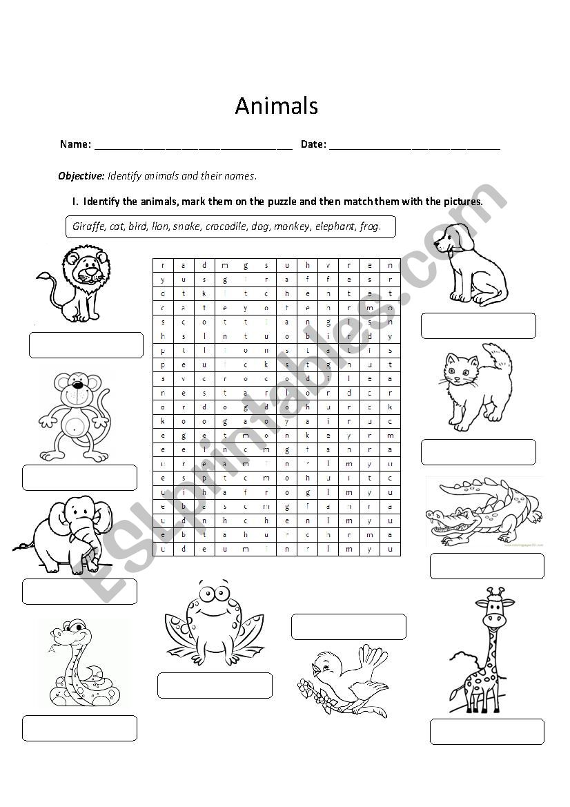 Animals worksheet