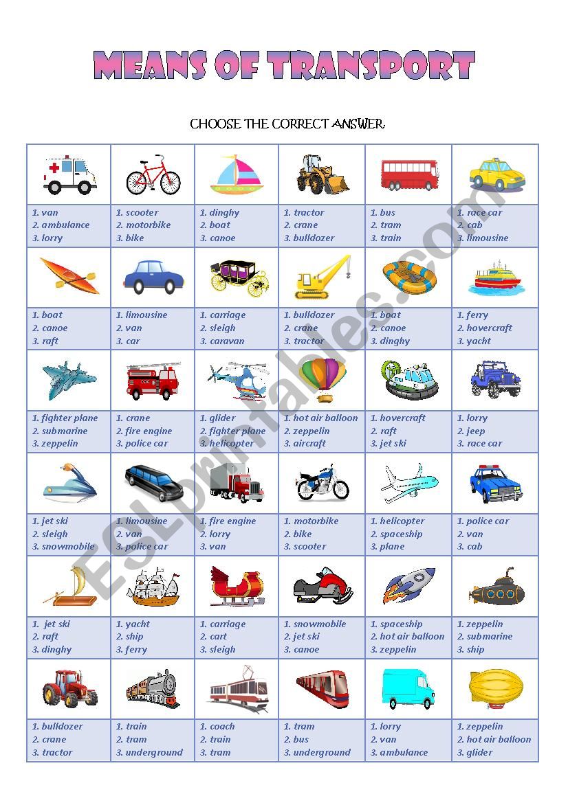 MEANS OF TRANSPORT worksheet