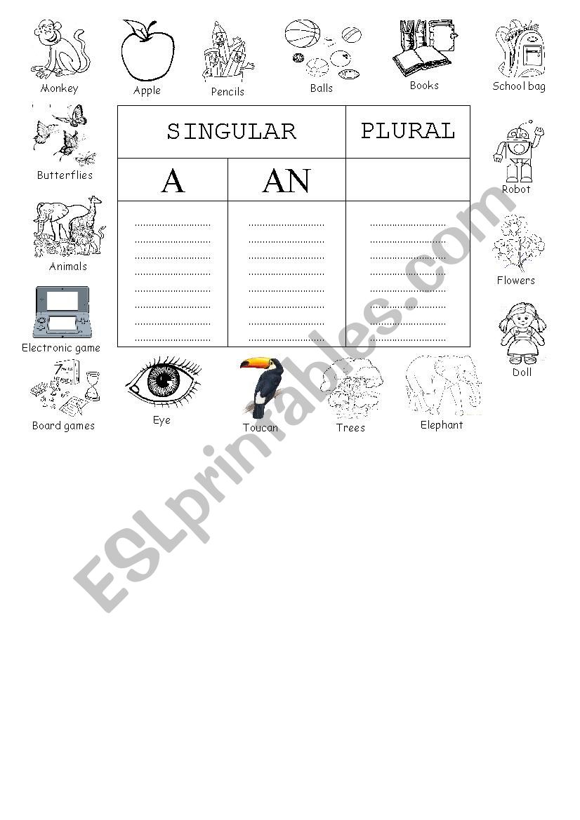 A / AN / PLURAL worksheet