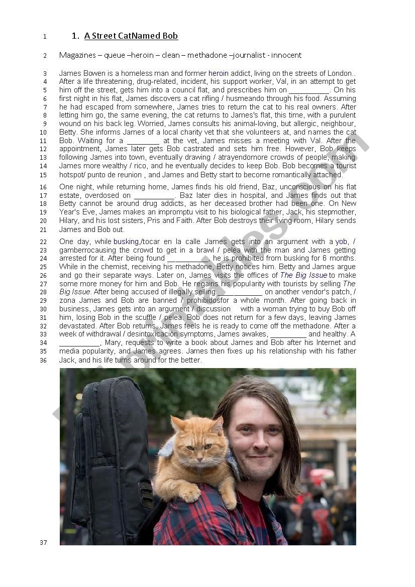 A street cat named Bob worksheet