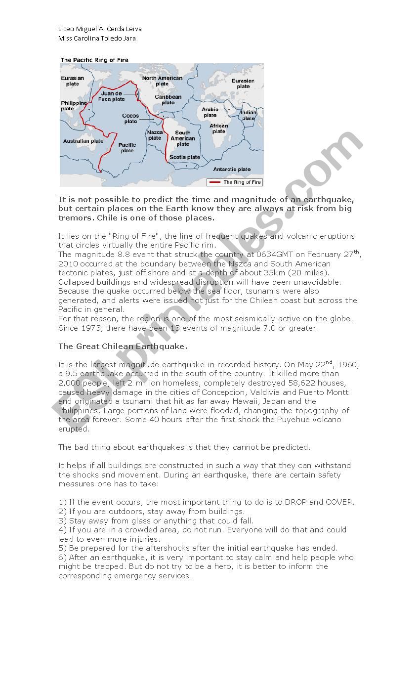 Types of Sentence worksheet