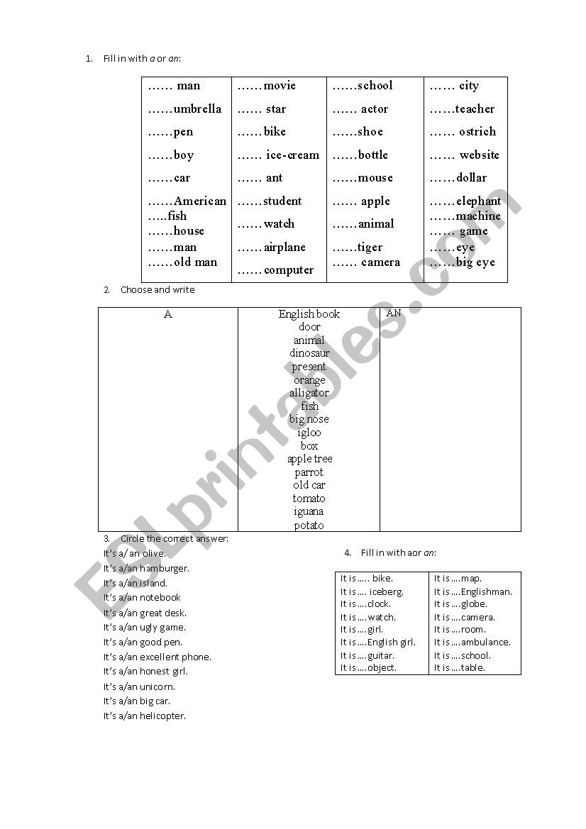 Indefinite Article worksheet