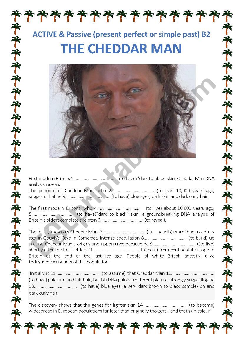 Cheddar Man Active - Passive (Present Perfect- Simple Past) (CEF B2)