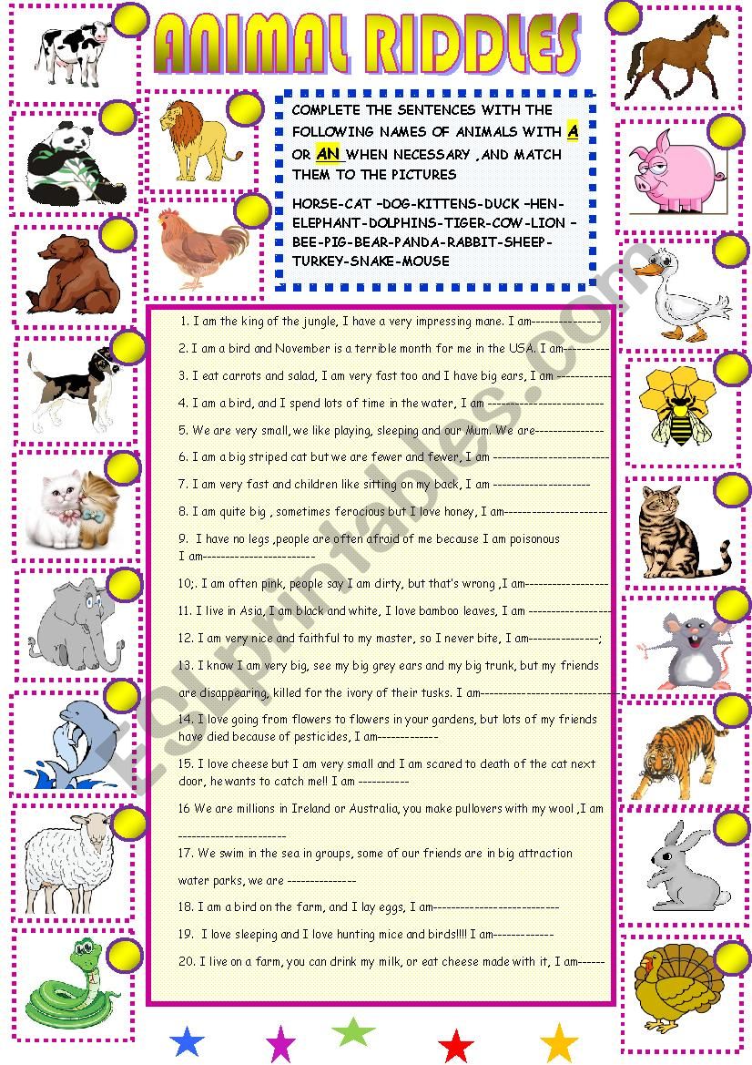 New animal riddles with key worksheet