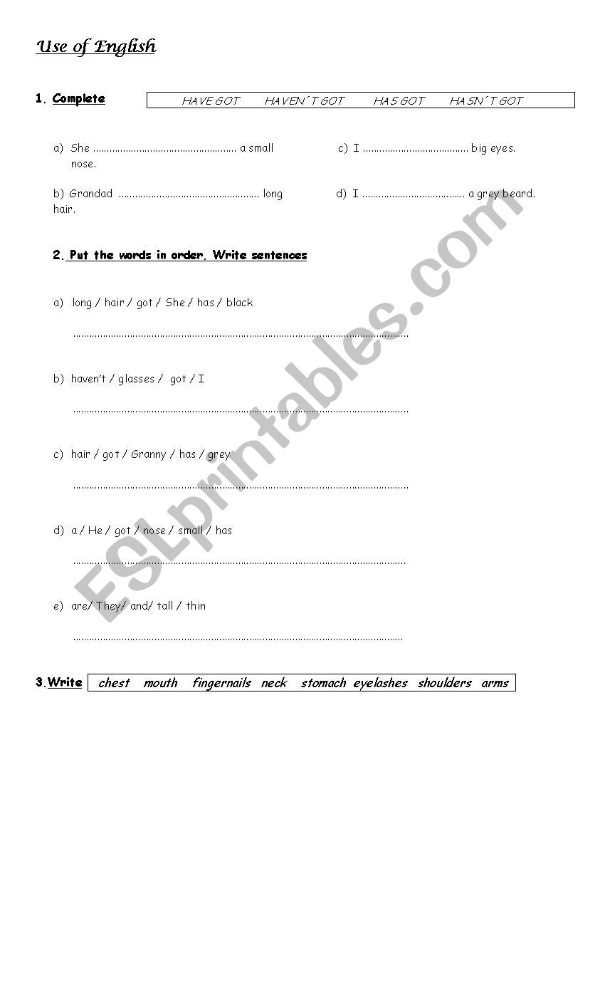 Grammar Revision Have Got  worksheet