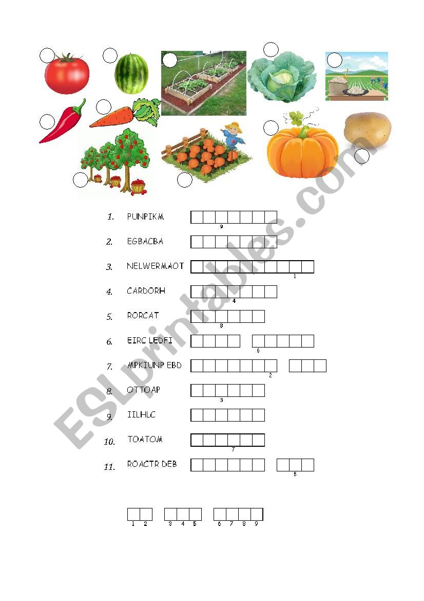 Vegetables worksheet