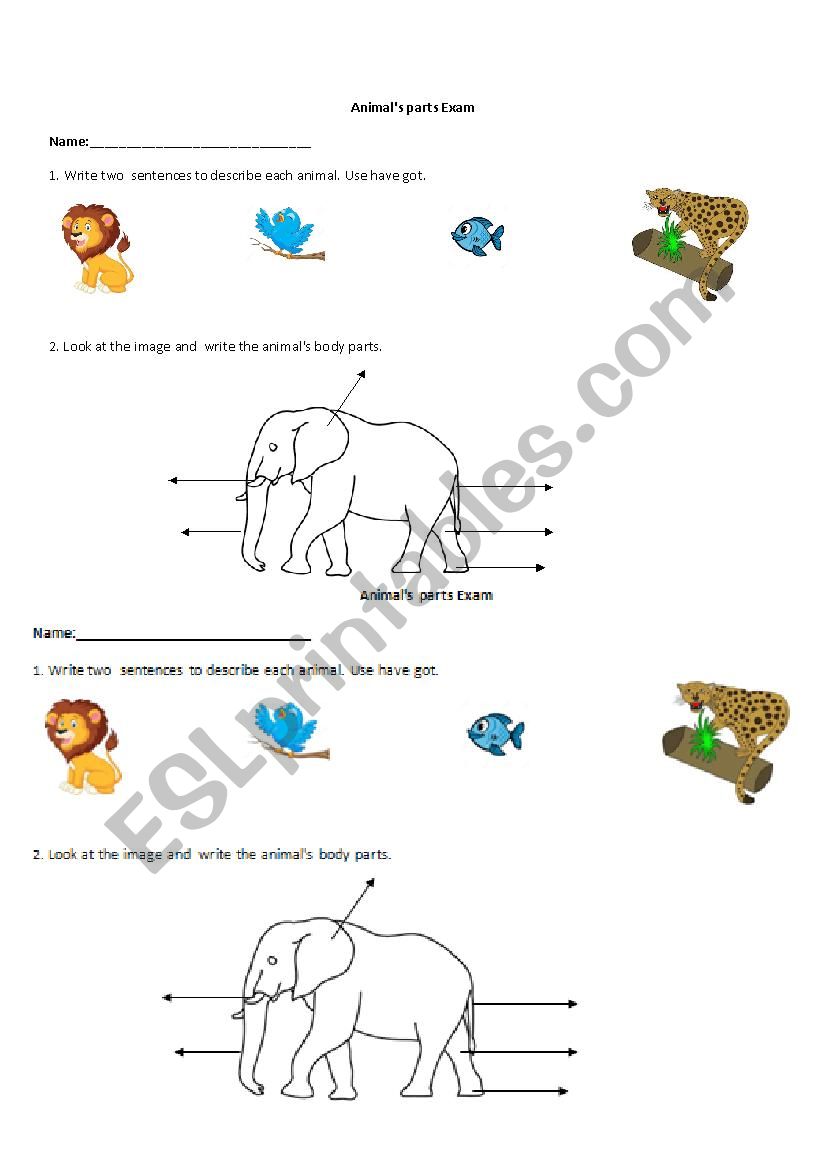 Animals body parts worksheet