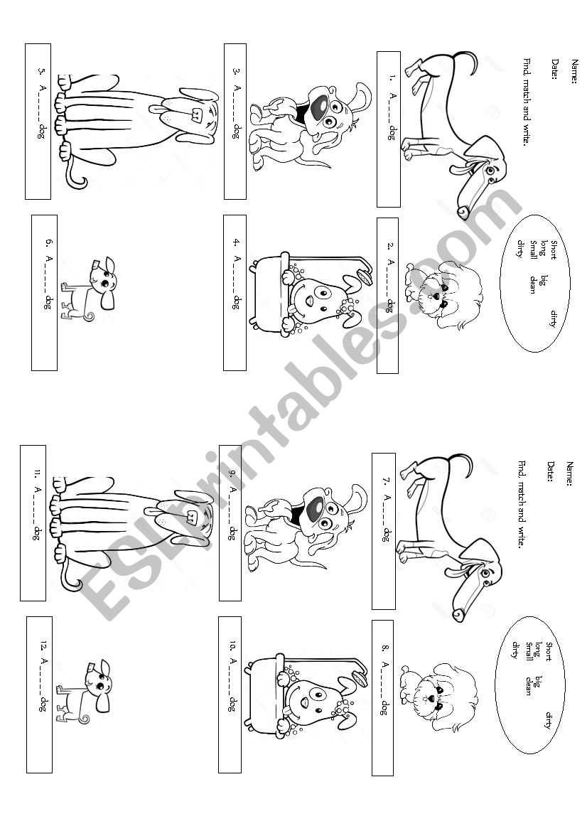 Animals worksheet