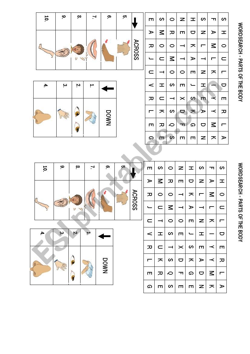 Parts of the Body - Starters worksheet