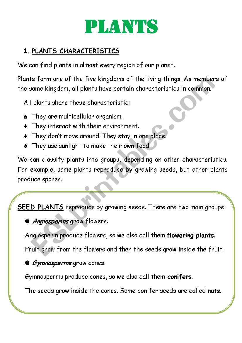 PLANTS worksheet