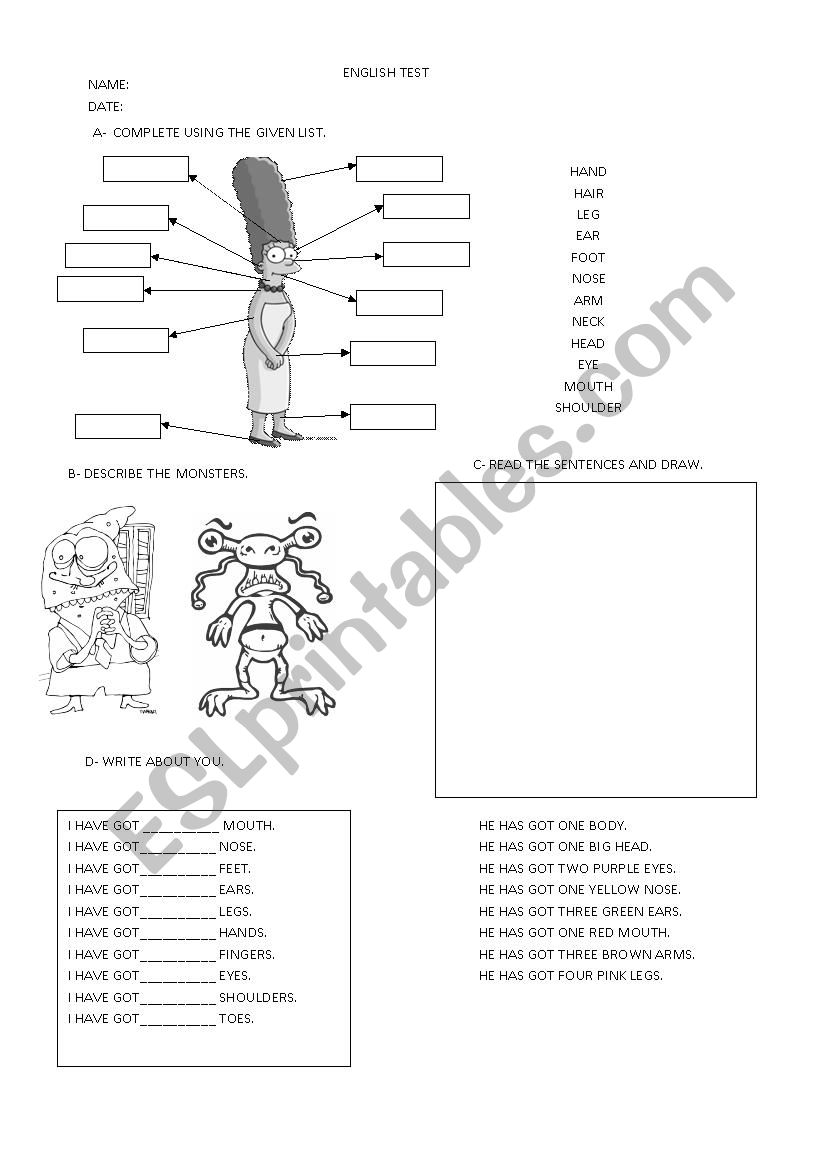 the body  worksheet