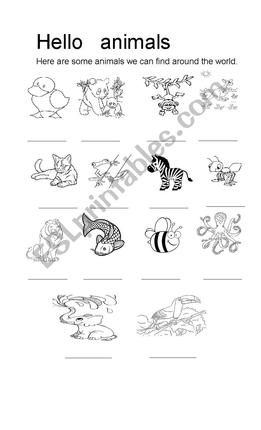 Hello Animals Part 1 worksheet