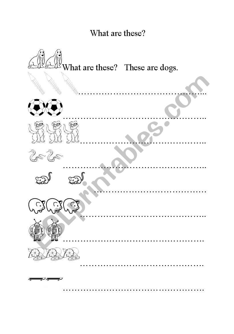 What are these? worksheet