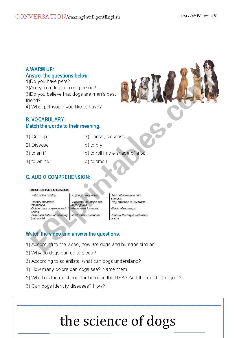 Conversation about DOGS worksheet