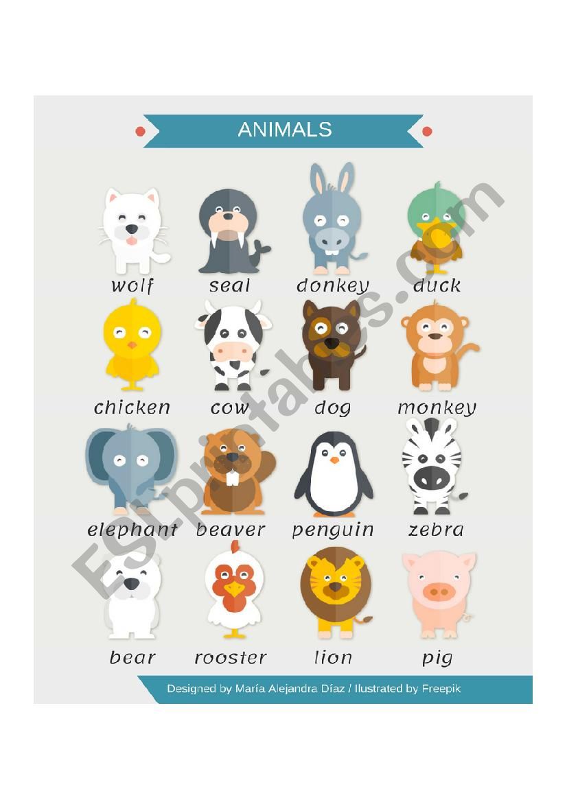 Animals pictionary worksheet