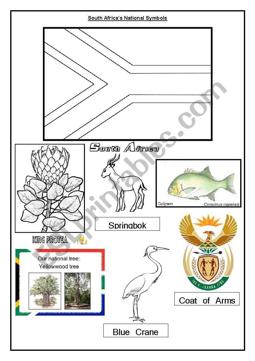 South African symbols worksheet