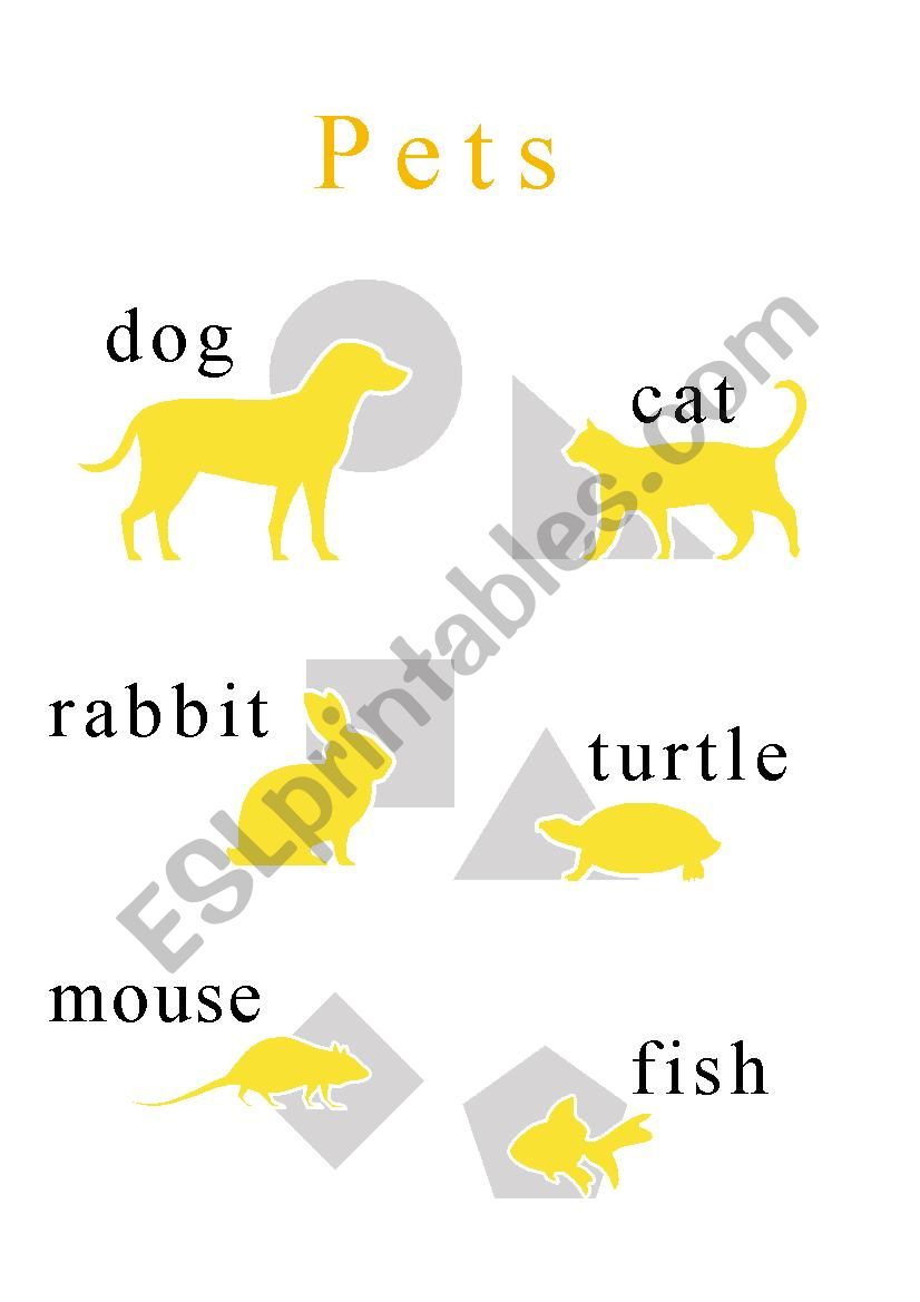 Milous The Basics - Animals - Pets Poster