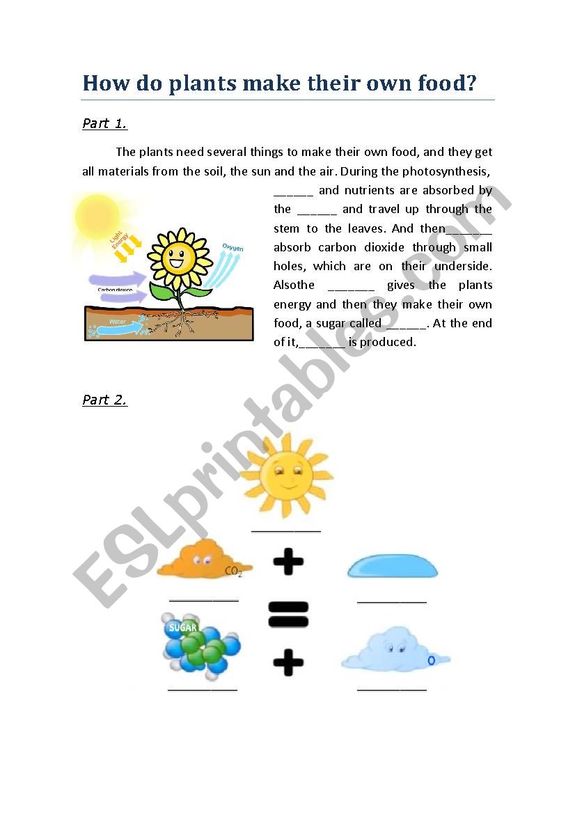 Learn about photosynthesis worksheet