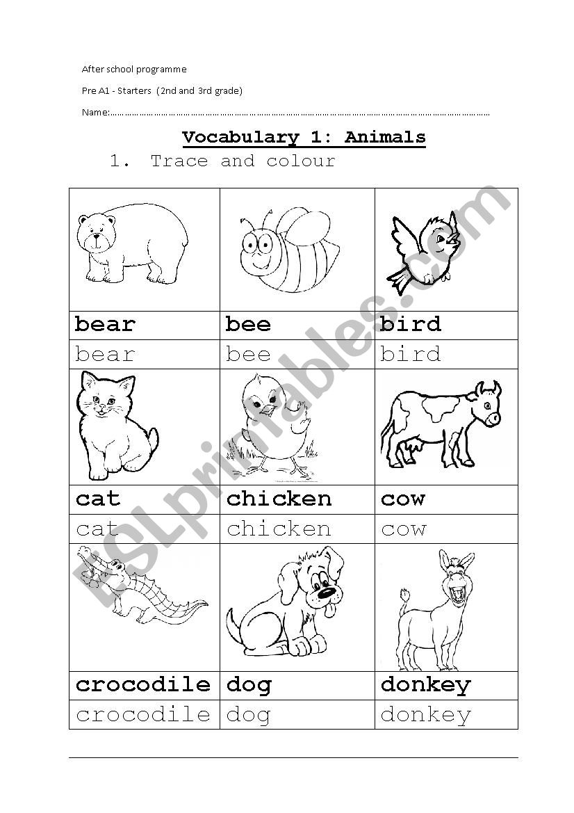 Pre A1 starters worksheet