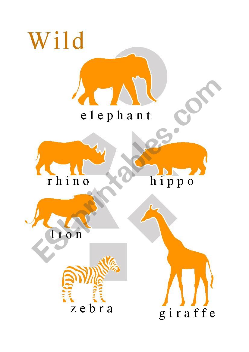 Milous The Basics - Animals - Wild Animals Poster