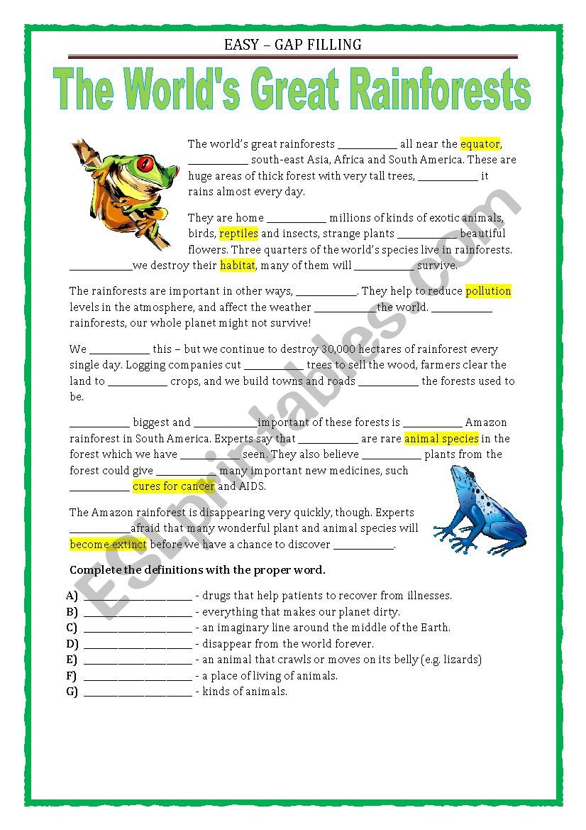 EASY - GAP FILLING - RAINFORESTS