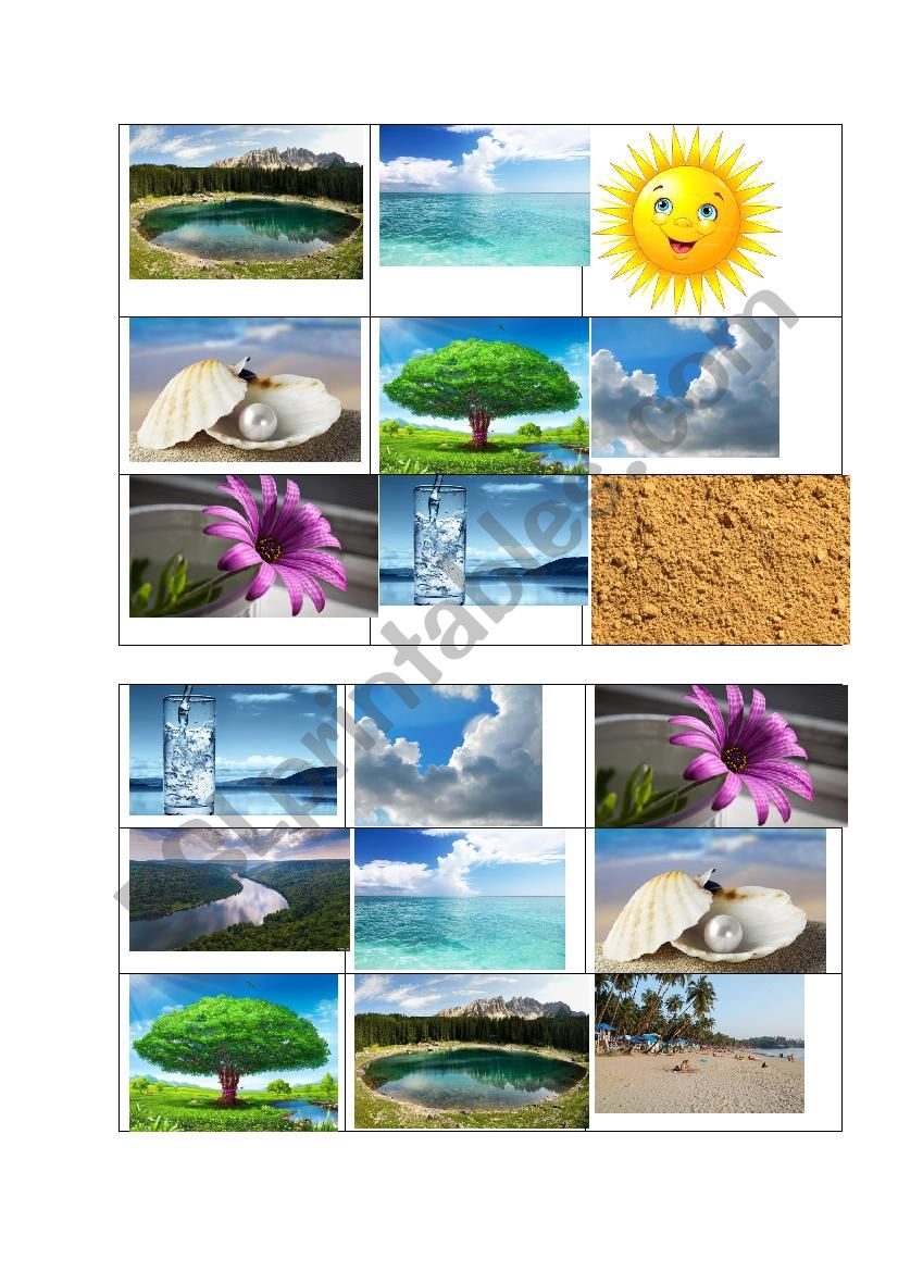 bingo nature worksheet