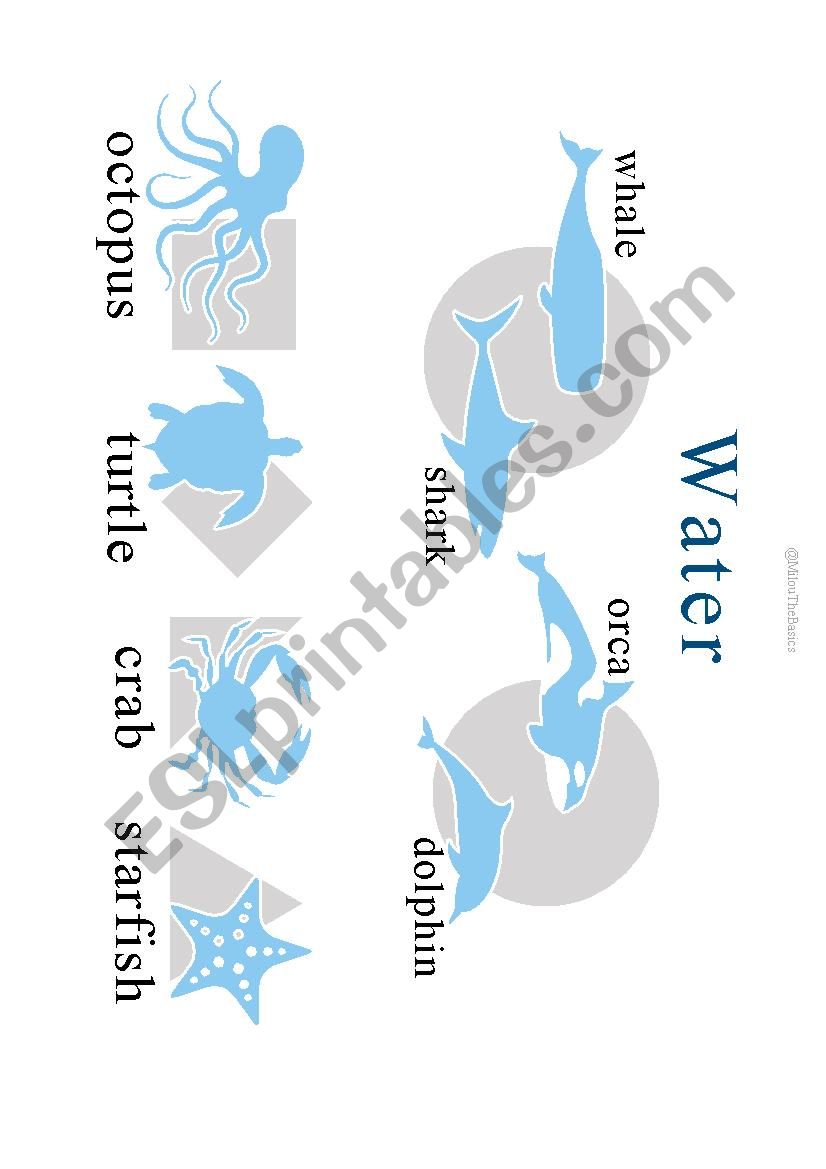 Milous The Basics - Animals - Water Animals Poster