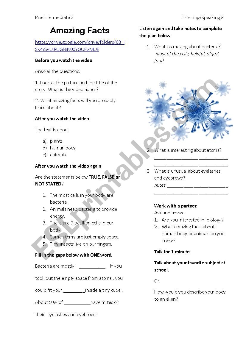 Bacteria worksheet