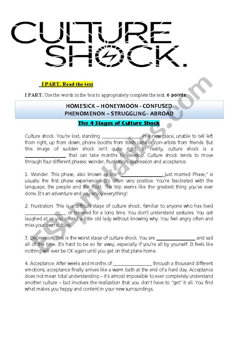 Culture shock worksheet worksheet