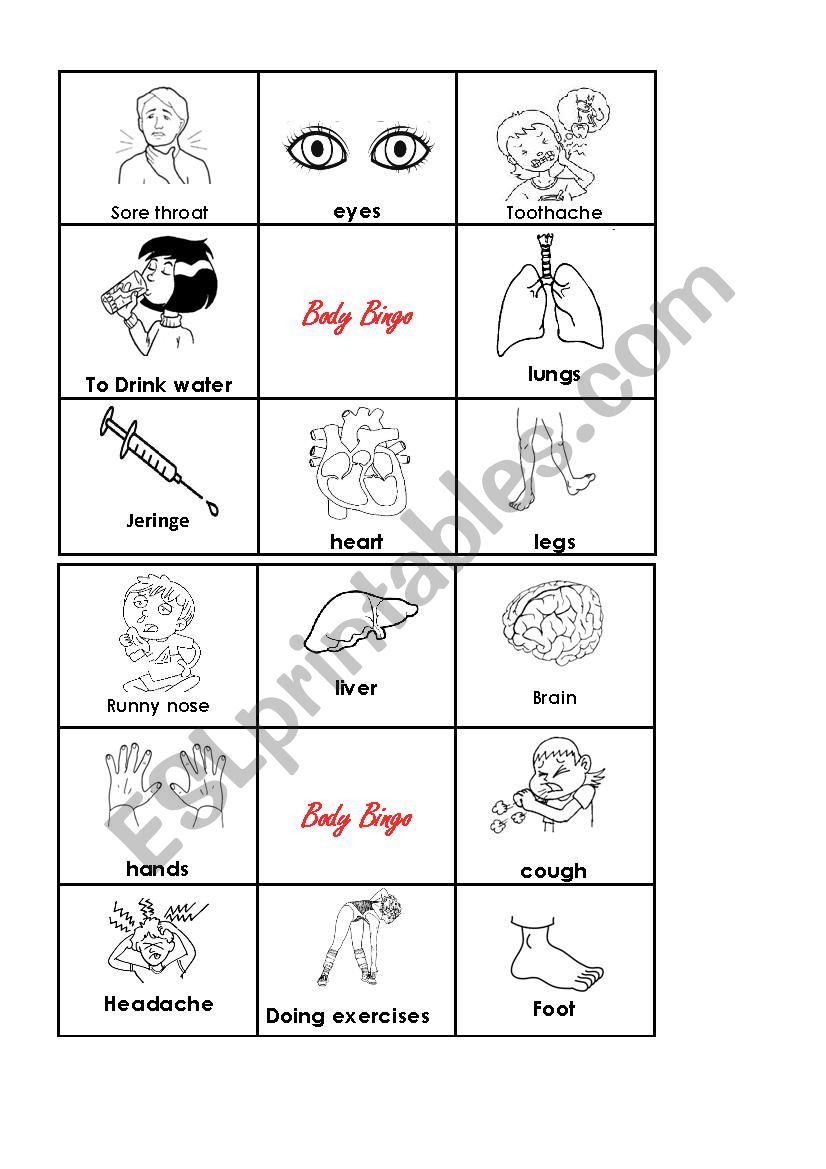 body bingo 1  worksheet