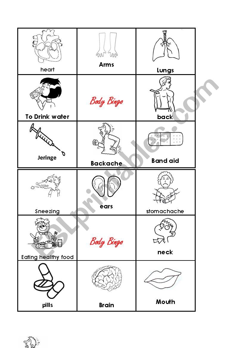 body bingo 2 worksheet