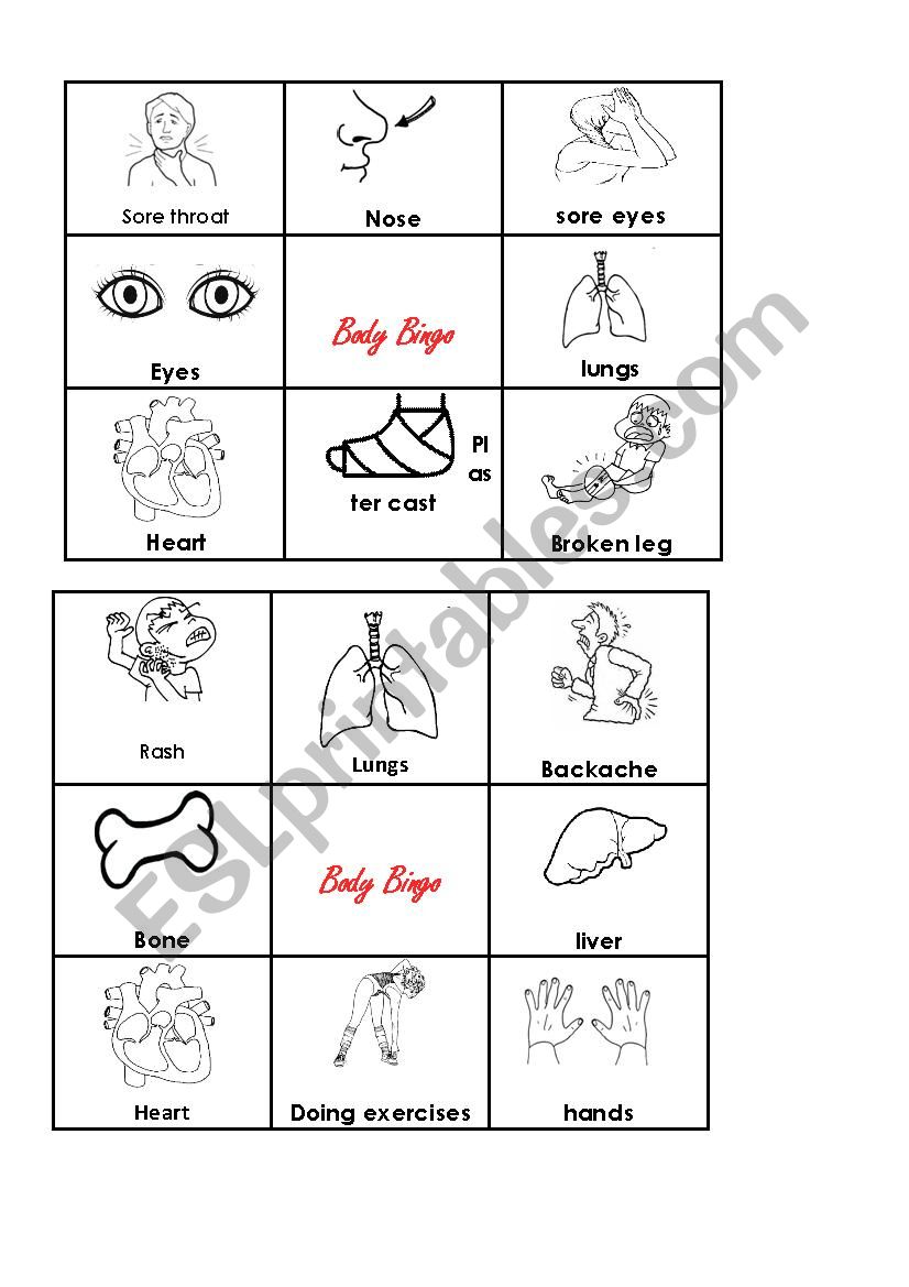 body parts 3  worksheet
