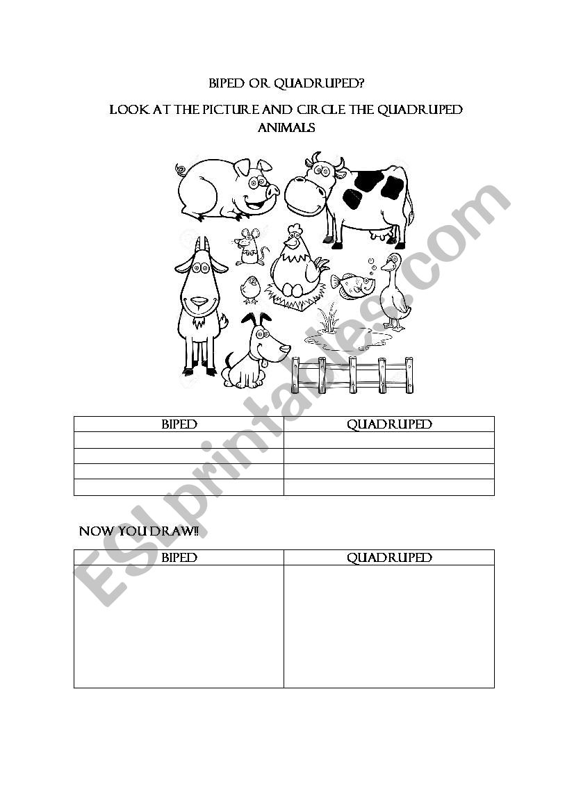 biped or quadruped animals worksheet