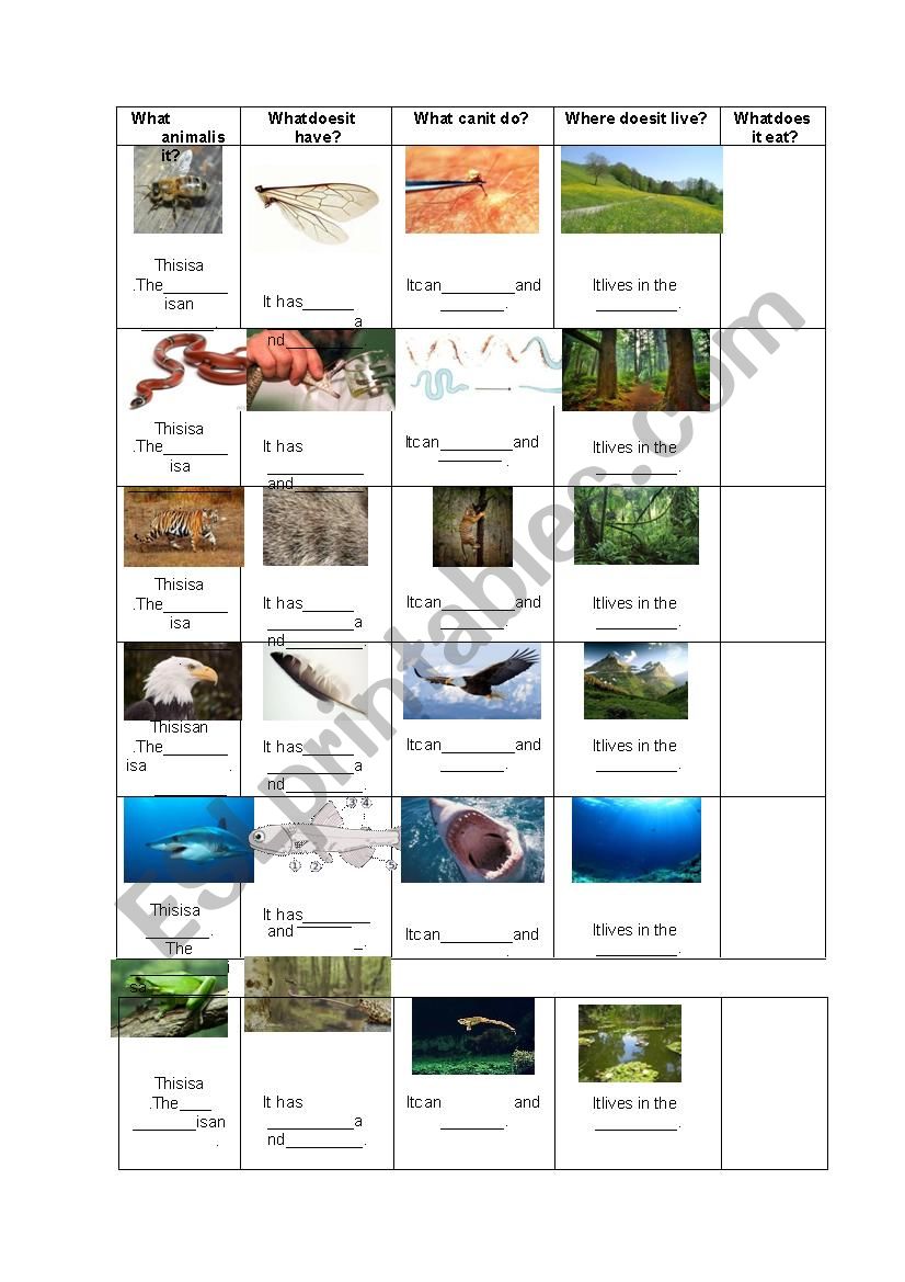 animals description worksheet